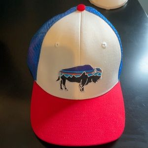 Patagonia Fritz Roy Bison Trucker Hat